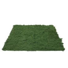 Moquette Mousse Verte En Epe Pour Jardin Extérieur