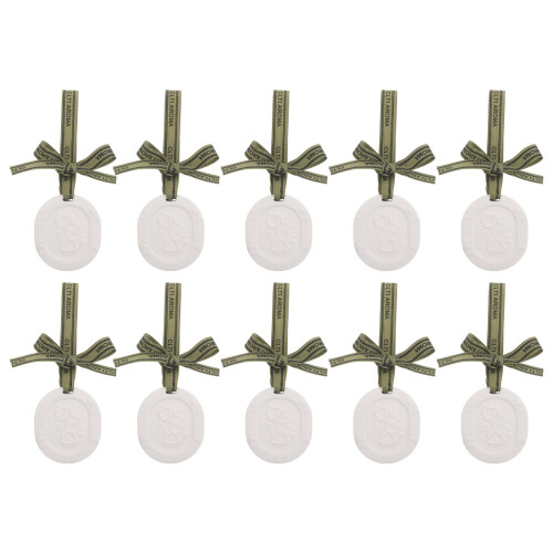 10St Pendants Auto Diffuser Gips Geurplaten Met Lint Wit