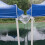 Gouttière PVC Robuste Transparente Pour De 8
