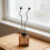 50Pcs Black Natural Rattan Aromatherapy Diffuser Sticks for Home Scent 8