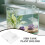 2St Zuignap Plank Transparant Aquarium Plant Steun 4