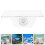 2St Zuignap Plank Transparant Aquarium Plant Steun 6