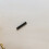2Stk Dentalmesser -Endodontisches Präzisionsmessgerät 3