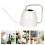 Retro Iron Watering Can For Succulents With Long Spout Precise 2