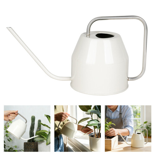 Retro Iron Watering Can For Succulents With Long Spout Precise 1