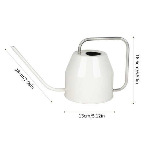 Retro Iron Watering Can For Succulents With Long Spout Precise 2