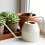 Retro Iron Watering Can For Succulents With Long Spout Precise 6
