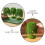 5Pcs Small Plastic Miniature Willow Trees for Model Railway Scenery 4