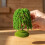 5Pcs Small Plastic Miniature Willow Trees for Model Railway Scenery 9