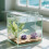 2Pcs Clear Acrylic Aquarium Ledge Shelves Suction Cup Plant Holders 3