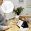 10Pcs Plastic Automatic Beverage Shelf Pusher Rack for Retail Stores 11