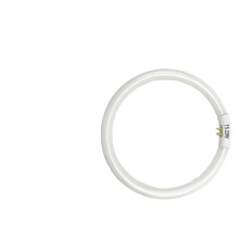 T5-ringlampa 22W 18cm med vitt ljus för studiobruk_M