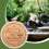 Bird Bath Copper Disk for Water Physical Safe Clean Copper Purification Cleaner 3