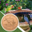 Bird Bath Copper Disk for Water Physical Safe Clean Copper Purification Cleaner 4