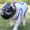 Dog Muzzle For Short Snout Dogs, Soft Silicone Muzzle For Biting Chewing, Ideal For Flat-faced Aggressive Dogs_M 2