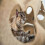 Pet Activity Play Mat Cat Toy Bite Training Blanket For Pets Stress Release WCC_M 5