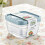 3PCS 2.5L Square Plastic Food Storage Container for Home Kitchen Random Colours 2