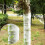 100m Tree Protector Wraps Antifreeze Tree Wraps Cold-Proof Tree Trunk Wrap for Winter 8cm x 100m 4