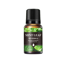 Volatile Oil Fragrances Refill Air Freshener 10ml for Car-Mint