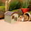 En Bois Pour Hamster Avec Tunnels 3