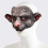 Masque de souris avec dents, accessoire de Costume de-HDA25008D 7