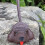 Porte-clés sur le thème du chien, accessoire en-Marron clair. 7
