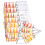 Clear Acrylic Push Up Cake Molds Set With-28 push bucket 1