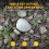 Realistic Rocks Shape Key Hider Outdoor Concealed Storage Box 6