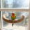 Parrots Grinding Scratchers Perch Suction Cup Bird Stand Cage 5