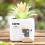 Elegant Resin Flower Container With Drainage System-coffee 6