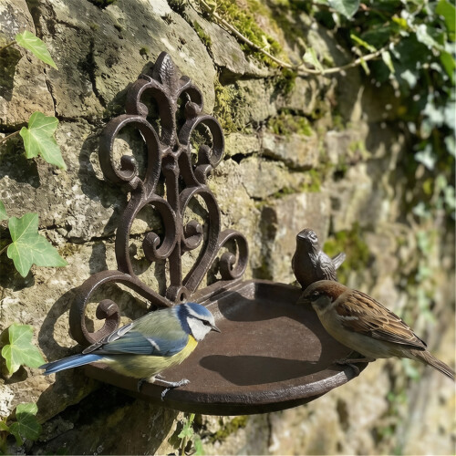 Vogelfutterstation aus Eisen, Wandmontage, Vogelfutternapf,-8471 1