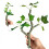 Fish Tanks Branch Plant Artificial Trunk Crafts Simulation-7 1