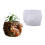 Moule de jardinière d'écureuil réutilisable, moules de-modèle 1 1