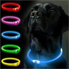 (Blau) Hundehalsbandanhänger