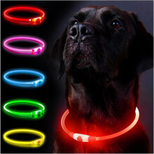 (Rot) Hundehalsbandanhänger