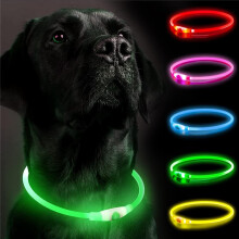 (Green) Hundehalsbandanhänger