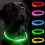 (Green) Hundehalsbandanhänger 1