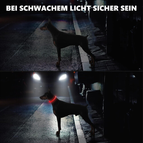 (Yellow) Hundehalsbandanhänger 2