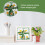 Broderikit för punch needles Grön prästkragedesign 5