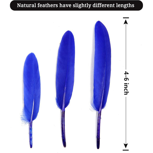 Piume di oca blu, 10-15 cm, 120 pezzi 1