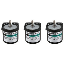 3X 60Ktyz Ac Motor 220V 10Rpm Permanent Magnetic Electric Synchronous Motor 14W Permanent Magnet Motor