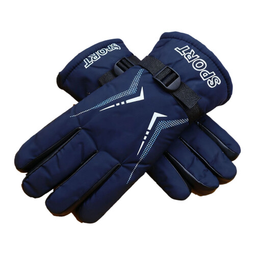 Winddichte warme handschoenen Winterskihandschoenen-Blauw