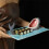 Ceramic Sushi Plate, Sharks Shape Rectangle Cheese Board Dining Table Kitchen Decoration 5