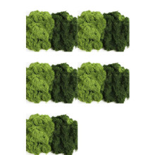 5X Fake Moss for Crafts, 14.1 OZ Artificial-Moss for Plants Indoor Decorative Light Green and Dark Green Faux Moss