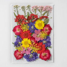 Pressade torkade blommor-kit, 35 delar för resinhantverk