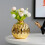 2X Ceramic Small Vase Small Flower Embossed Fish Lip Pattern Crafts Home Decorations (Gold) 1