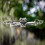 Semi Enclosed Propeller Guard Anti Collision Protector Ring for DJI Mini 5 Pro 12