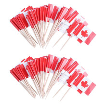 Lot of 100 Pcs  Wooden Toothpick with Flag for Decor of Party Fruit Pastry - Canada