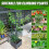 Adjustable Raised Garden Bed with Detachable Planting Trellis and Irrigation System 3
