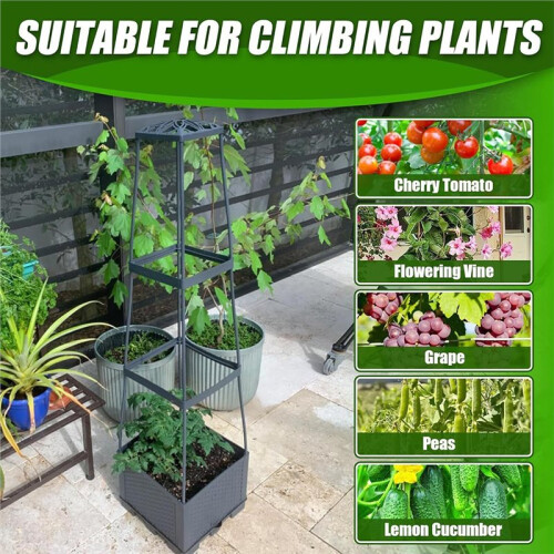 Adjustable Raised Garden Bed with Detachable Planting Trellis and Irrigation System 2
